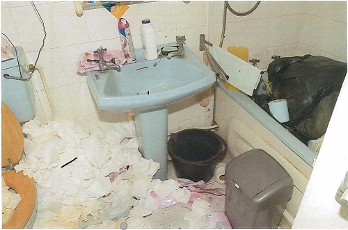 Bathroom at the Wallach home