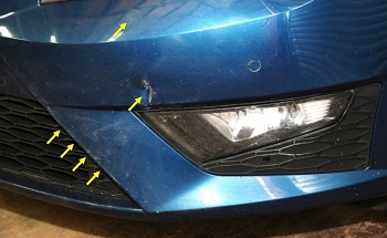 Damage to the front of the Bukhari's Seat Leon