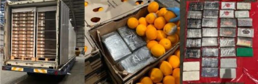 Oranges from South Africa included cocaine in the consignment