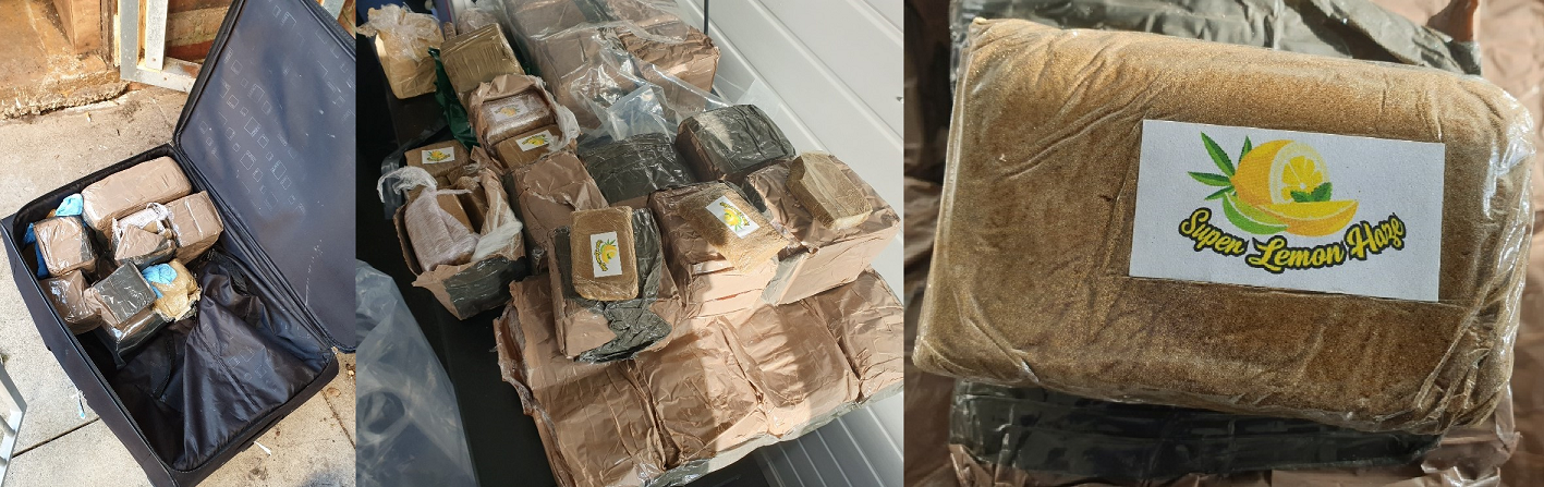 Photos of cannabis seized from Kevin Baker
