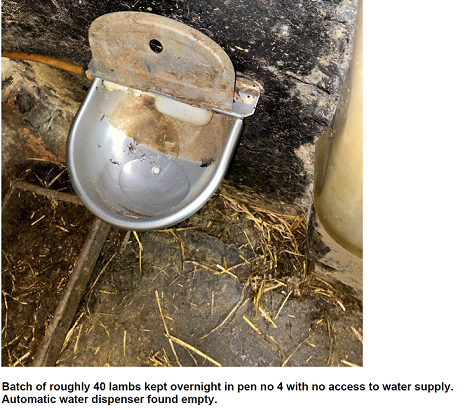Empty water dispenser at Leansale abattoir